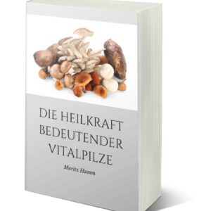 Die Heilkraft bedeutender Vitalpilze