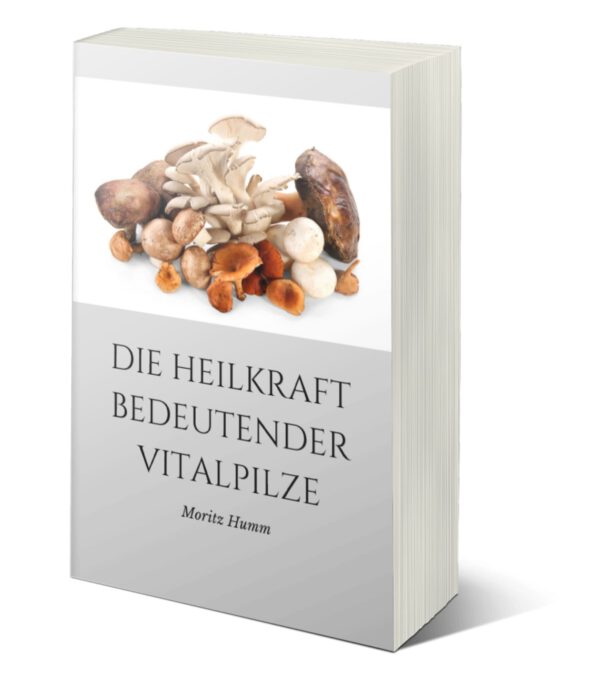 Die Heilkraft bedeutender Vitalpilze